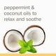 thumbnail image 4 of Crema para piernas y pies Mama Bee Burt's Bees 3.38 oz, 4 of 9