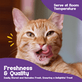 thumbnail image 4 of Beefeaters Cat Treat Variety Pack, 12 Squeeze Tube Puree Packs – Grain-Free, Lickable, with Taurine, No Sugar, Ideal for Hand-Feeding & Toppers, 4 of 9