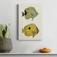 thumbnail image 4 of Yellow & Grey Fish III Premium Gallery Wrapped Canvas - Ready to Hang, 4 of 7
