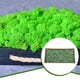 thumbnail image 3 of Injueey Musgo Artificial de flores preservadas, Color sólido sintético, reemplazo de bricolaje de larga duración, liquen de césped, accesorio de Plantas Artificiales Verde claro Injueey HA084267-03, 3 of 6