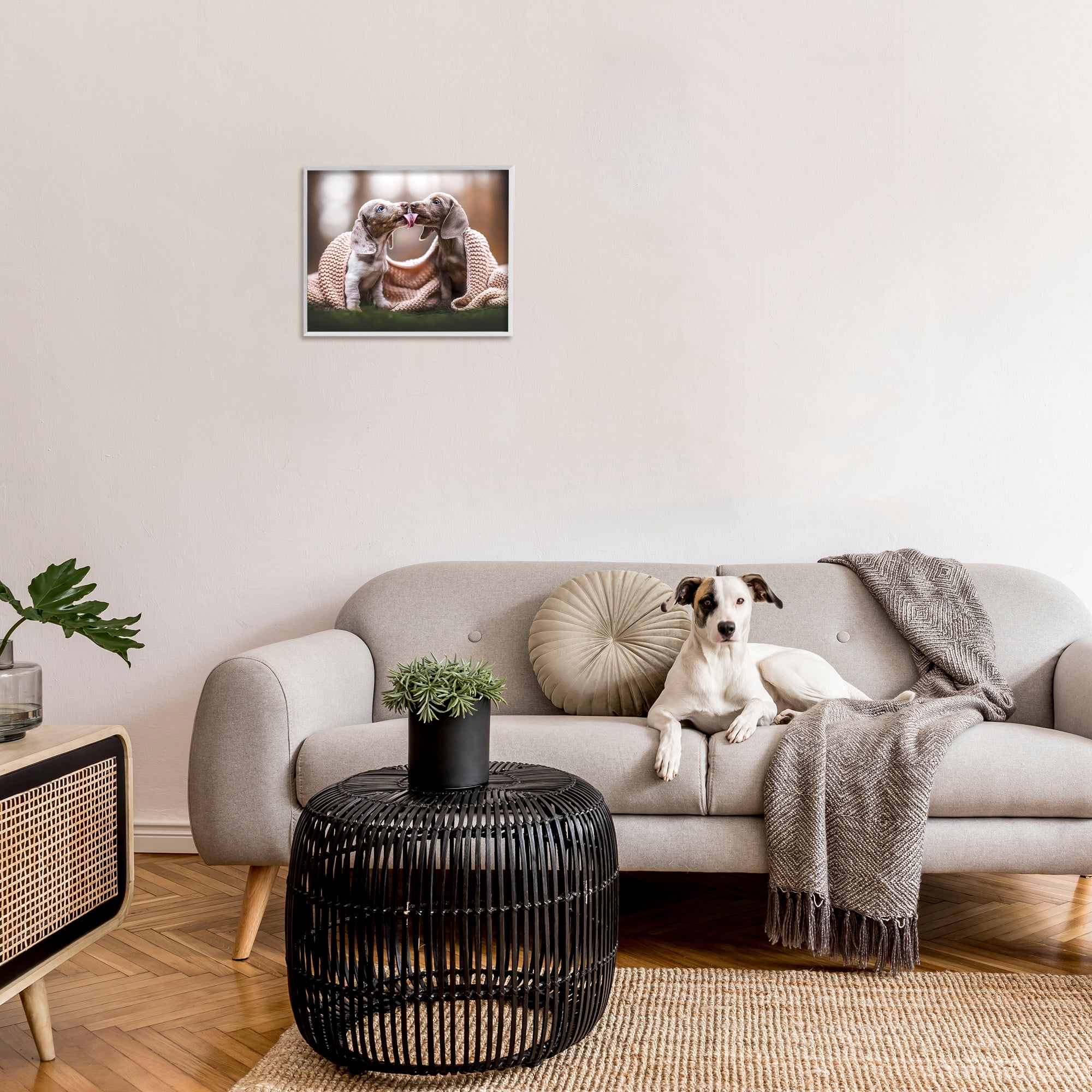 Stupell Industries Puppies with Blanket Animals & Insects Painting White Framed Art Print Wall Art, 20 x 16