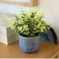 thumbnail image 6 of Mainstays Tabletop Artificial Baby Eucalyptus Plant in Blue Ceramic Butterfly Pot, 3", 6 of 6