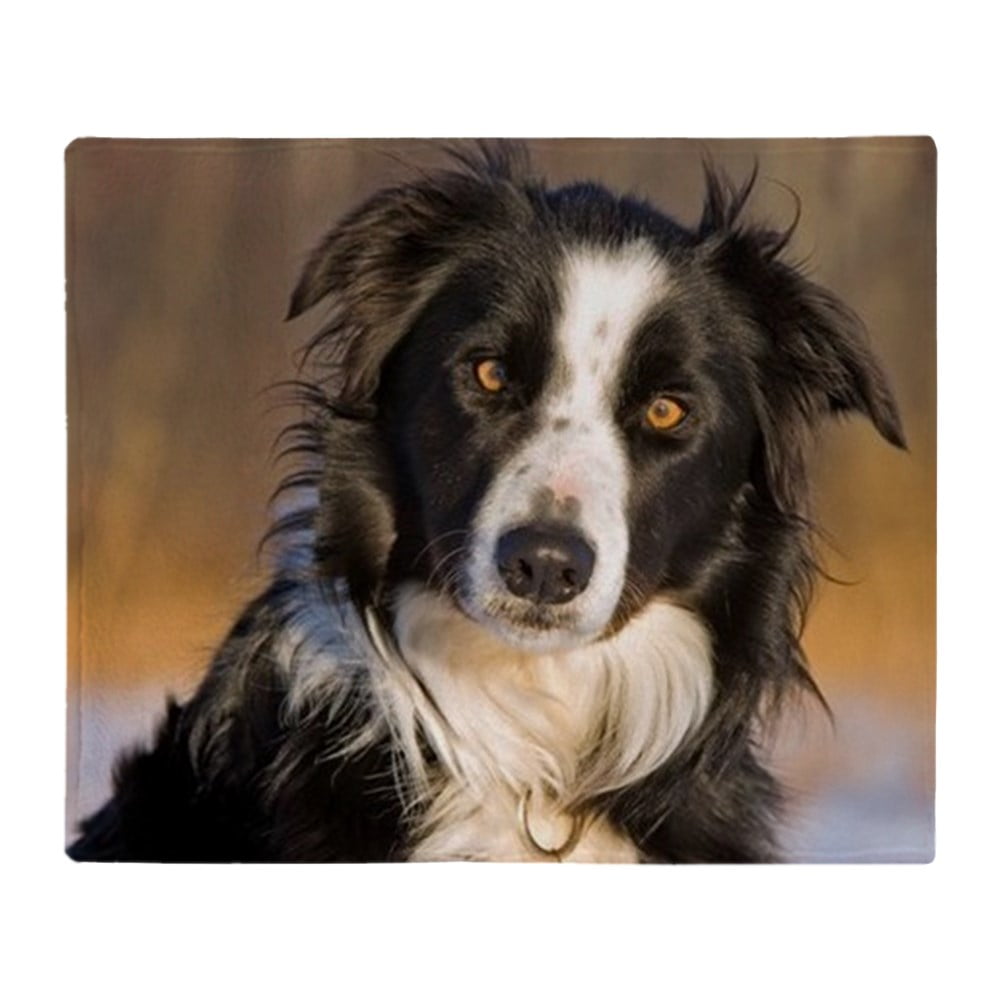 Super Soft Lightweight Border Collie Fleece Plush Flannel Warm Blankets for Couch Bed Chair Office Sofa Travelling Camping 50x60 in Dog Pattern Throw Blanket Home Decor Super Soft Lightweight Border Collie Fleece Plush Flannel Warm Blankets for Couch Bed Chair Office Sofa Travelling Camping 50x60 in Dog Pattern Throw Blanket Home Decor