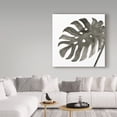 thumbnail image 3 of Trademark Fine Art 'Tropical Palm IV BW' Canvas Art by Chris Paschke, 3 of 3