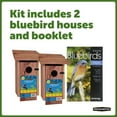 Pennington Red Cedar Bluebird Wild Bird House, 2 Pack 13'' Tall