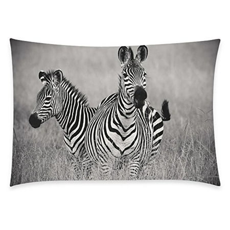 2 White Zebra - ZKGK Animal Two Zebras Home Decor, Black and White Zebra Pillowcase 20 x 30 Inches Two Side,Autumn Grass Pillow Cover Case Shams Decorative