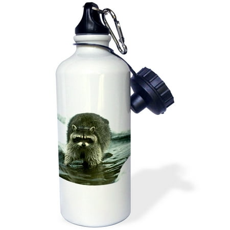 

3dRose Raccoon Raccoons Sports Water Bottle 21oz
