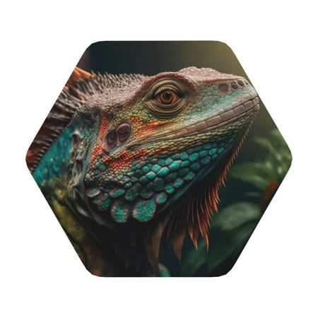 

Matuu Realistic Colorful Chameleon for Cup Coasters Set of 6 Leather Coasters Desk Coasters for Office Measures 4” x 4” Hexagon