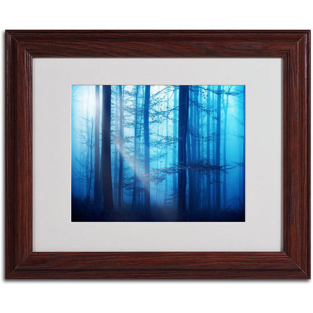 Trademark Fine Art "Light Box Blues" Canvas Art by Philippe Sainte-Laudy, Wood Frame