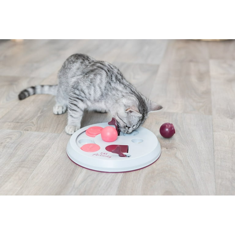 Trixie brain hotsell mover cat toy