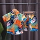 thumbnail image 2 of Odeerbi 1-6 Años Conjunto de Verano Para Niños Hawaiano Camisa de Manga Corta de Algodón Estampado Tropical Conjunto Corto Camisa Gráfica Conjunto de Dos Piezas, 2 of 4