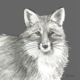 thumbnail image 3 of Wilson, Kelsey 12x12 Black Modern Framed Museum Art Print Titled - Watercolor Pencil Forest color III-Fox, 3 of 5