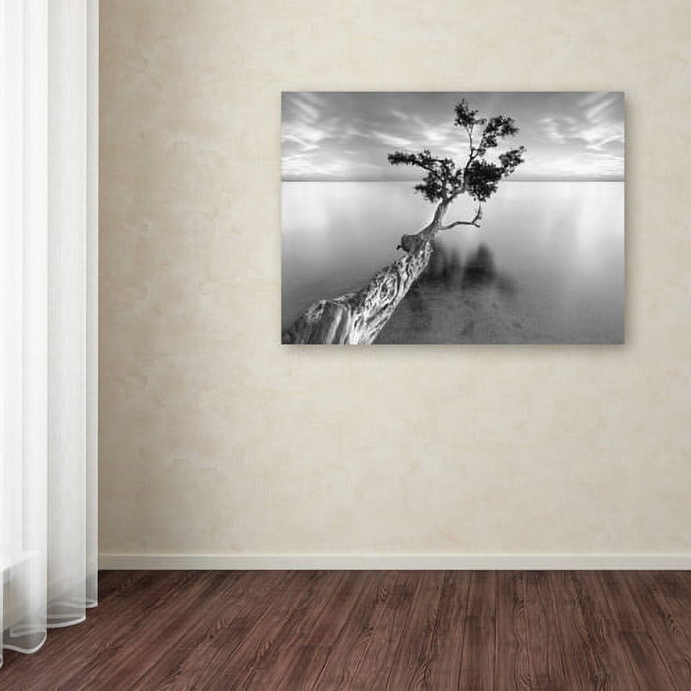 Gallery Wrapped 14x19 Canvas Art