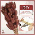 thumbnail image 3 of Uxcell 15.7in Bunny Tails Dried Flowers, 120pcs Pampas Grass Decor Rabbit Tail Natural Pampas Grass Bulk Fluffy Faux Pampas Grass Small Dried, Brown, 3 of 6