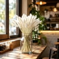 thumbnail image 6 of Dried Bunny Tail Grass Bundle, Multi Color Dry Flower Stem Set, Boho Floral Vase Filler, Decorative Flower for Living Room Home Party Floral Arrangement, 6 of 7