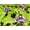 Lime, variant on John Kaldor Santa Cruz Stretch Woven Satin Fabric Lime - per yard