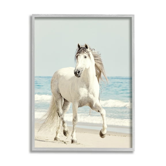 Stupell Industries Galloping White Stallion Wild Horse Sun Bleached Coast, 24 x 30, Design by Jan Walters
