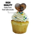 thumbnail image 3 of Boxer Puppy Dog Sleeping on Guitar Heart Love Cupcake Picks Toppers Decoration Set of 6, 3 of 7