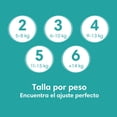 thumbnail image 3 of Pañales Pampers Baby-Dry Talla 1, Paquete de 88 Desechables, 3 of 8