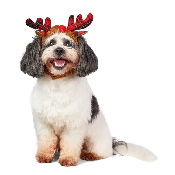 Vibrant Life Holiday Pet Reindeer Antlers Hat for Cats and Dogs, Brown, Extra Small/Small