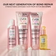 thumbnail image 4 of L'Oreal Paris EverPure Bond Repair Strengthening Shampoo with Citric Acid, 6.8 oz, 4 of 10