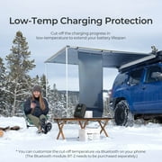 Renogy Rover 30 Amp 12V/24V DC Input MPPT Solar Charge Controllerfit for Gel Sealed Flooded and Lithium Auto Paremeter Adjustable LCD Display