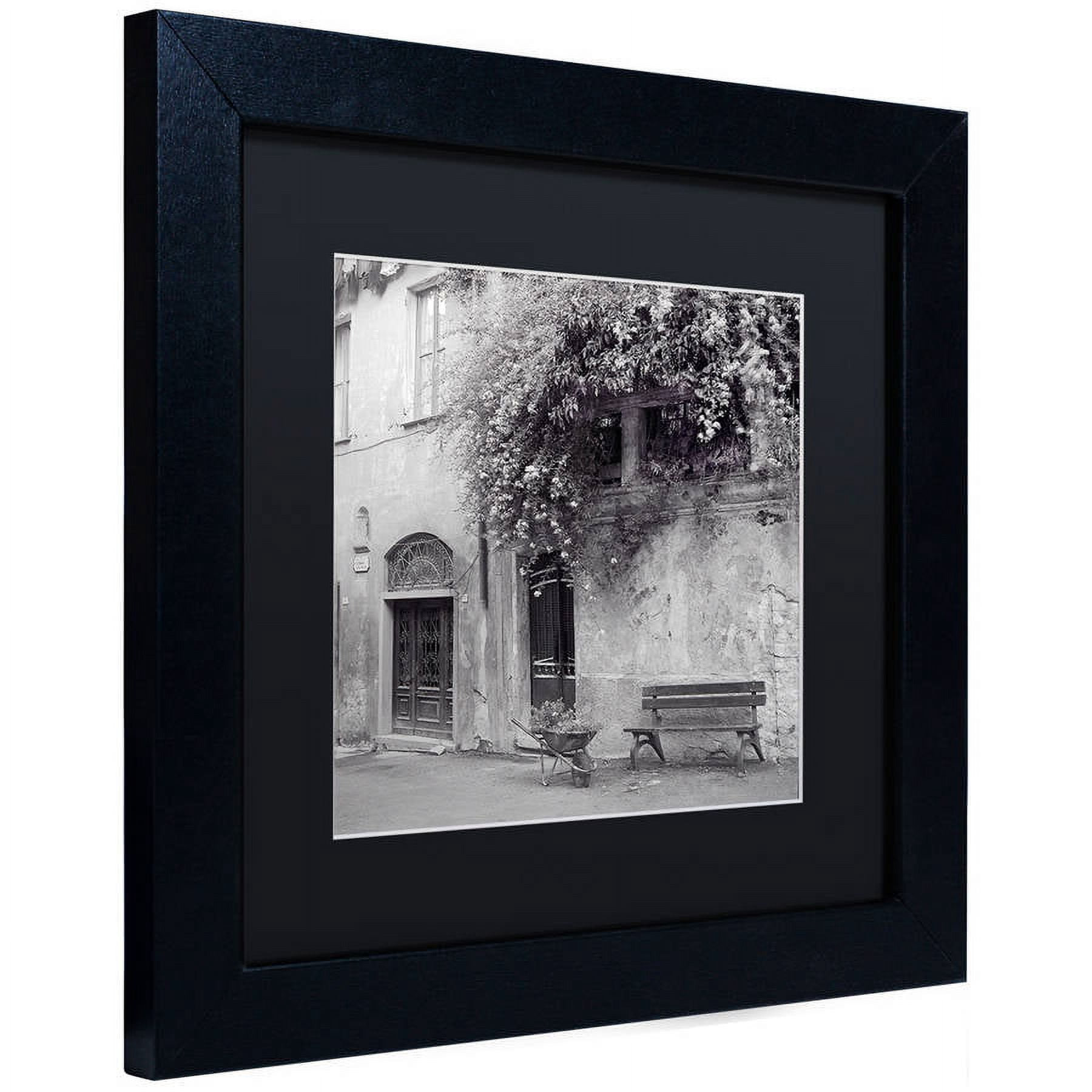 Trademark Fine Art "Liguria I" Canvas Art by Alan Blaustein, Black Matte, Black Frame