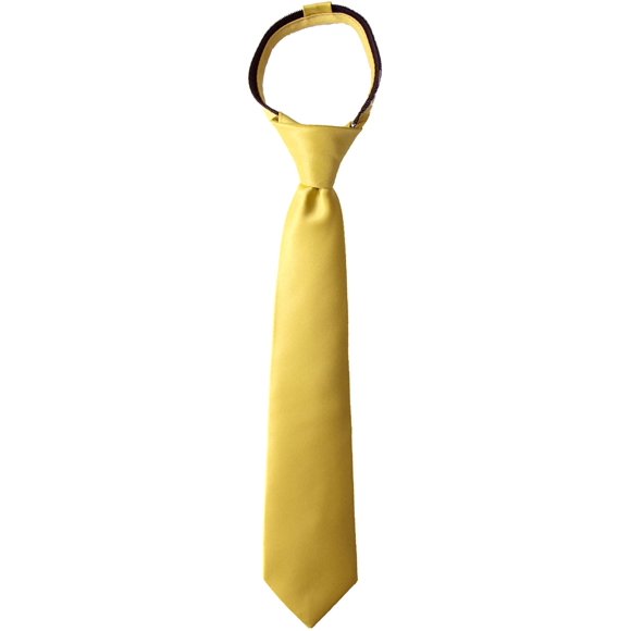 Spring Notion Boys' Satin Zipper Necktie Gold X-Small