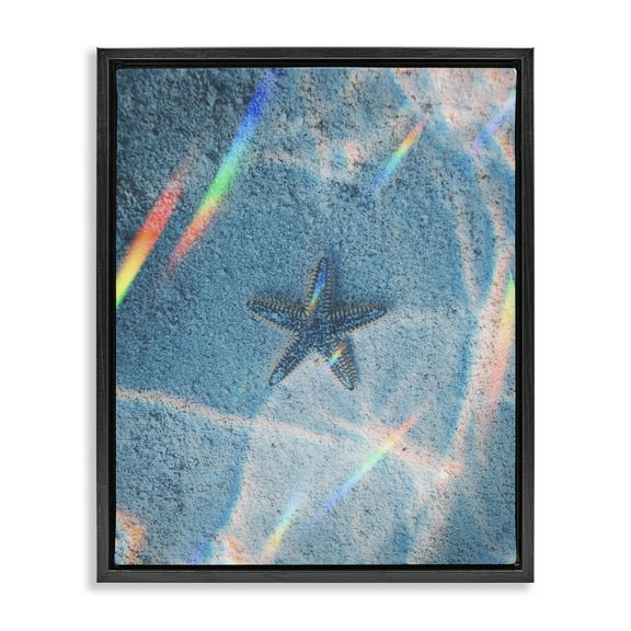 Stupell Industries Prismatic Starfish on Sea Floor Animals Photography Black Floater Framed Canvas Art Print Wall Art, 17 x 21