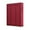 Red, variant on Space-Saving Multifunctional Cloth Closet Organizer for Home and Bedroom