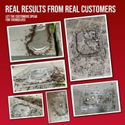 Catchmaster DEFIANT Liquid Ant Bait + 4 Reusable Bait Stations, Ant Traps Indoor & Outdoor