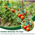 thumbnail image 7 of Garden Tape Roll,Bexikou 2 Rolls 1/2 Inch Wide Stretch Tie Tape,Garden Tie Tape Thick Plant Ribbon Garden Green Plant Tape for Branches, Flowers, Plants, Total 295 Feet, 7 of 7
