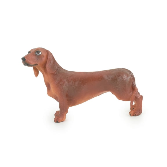 Dachshund Dog, Brown, Hand Painted, Educational, Museum Quality, Rubber Canine, K9, Realistic, Diorama, Figure, Toys, Kids, Gift, 6 Inches. CH979 BB213