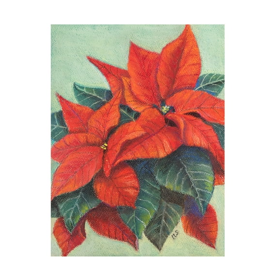Margo Starkey 'Poinsettia's, 2022' Canvas Art - 14 x 19 Inches