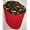 All Hot Peppers, variant on Hot Peppers Coffee Maker Cover by Penny's Needful Things (All Hot Peppers)