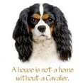 thumbnail image 3 of CafePress - Cavalier King Charles Spaniel Long Sleeve T Shirt - Unisex Cotton Long Sleeve T-Shirt, 3 of 4
