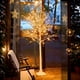 thumbnail image 3 of Lámpara de pie LED con forma de árbol de abedul en tamaños de 121.92cm, 152.4cm y 182.88cm, un árbol de abedul artificial adornado con luces, ideal para decoración del hogar, bodas,, 3 of 18