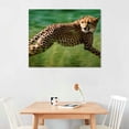 thumbnail image 3 of COMIO  Cheetah Running Photo Art Print Poster, 3 of 5