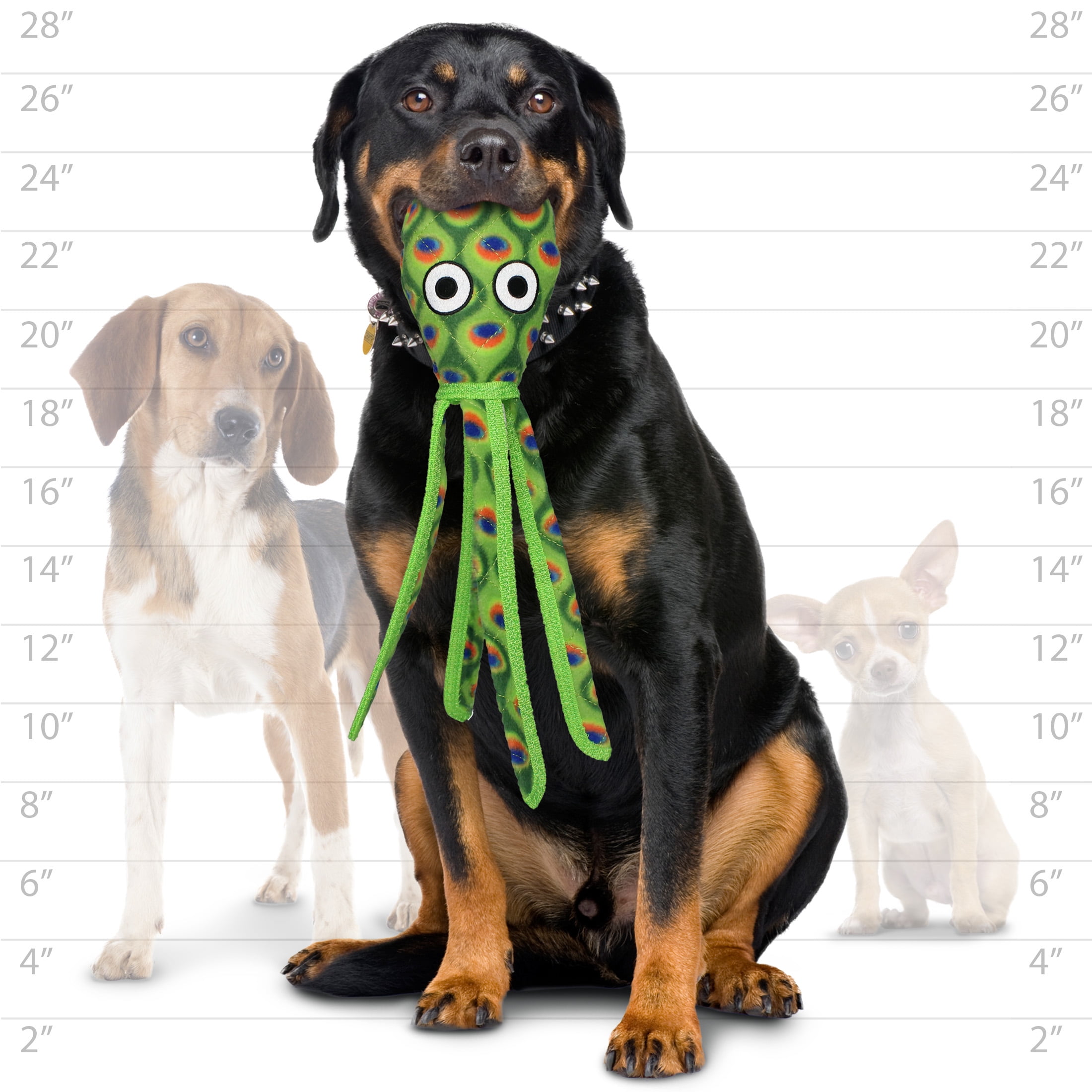 Tuffy Ocean Creature Squid Green Durable Plush Squeaky Dog Toy