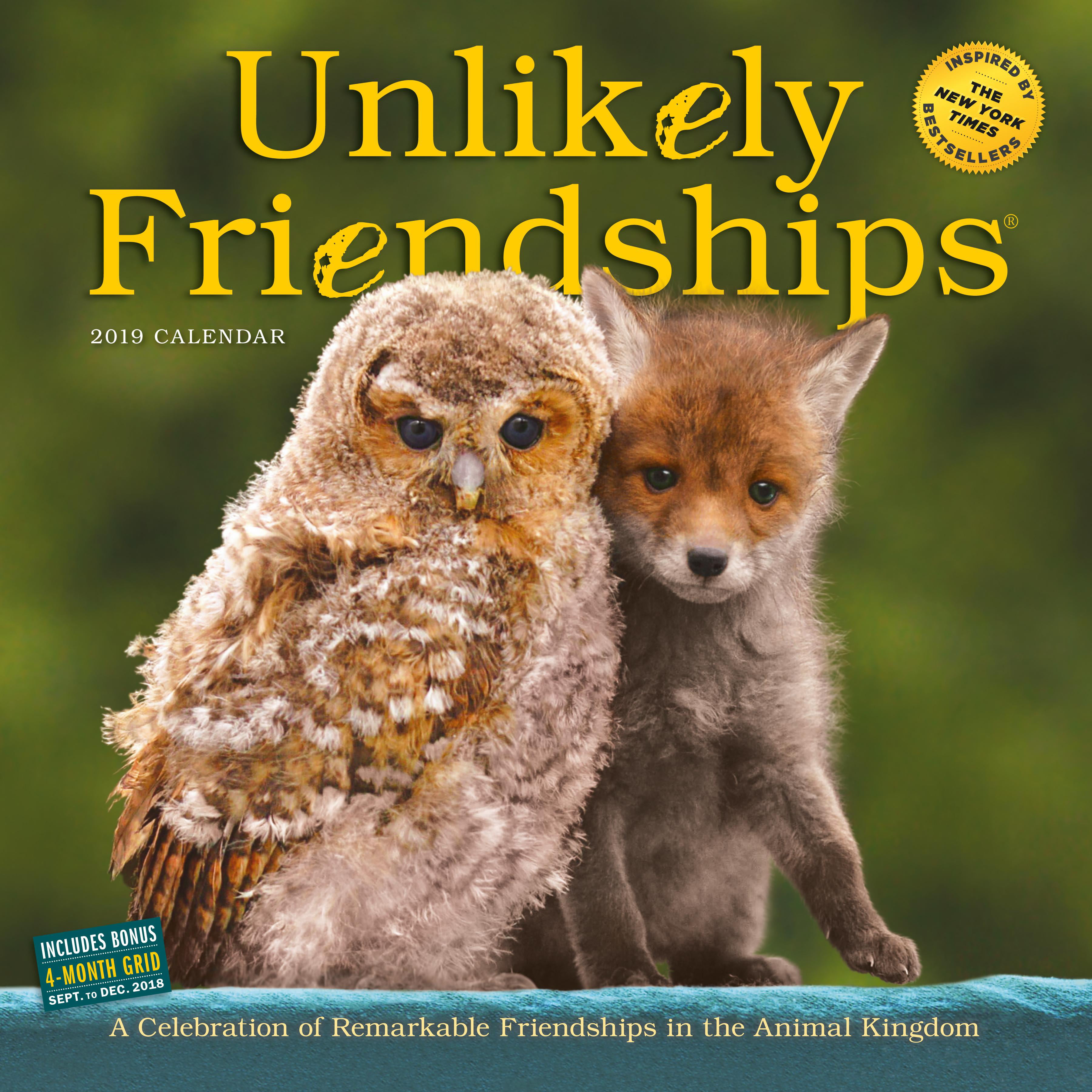 unlikely-friendships-wall-calendar-2019-other-walmart