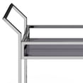 thumbnail image 5 of Simpli Home Watts 26 Inch Bar Cart In Chrome, 5 of 9