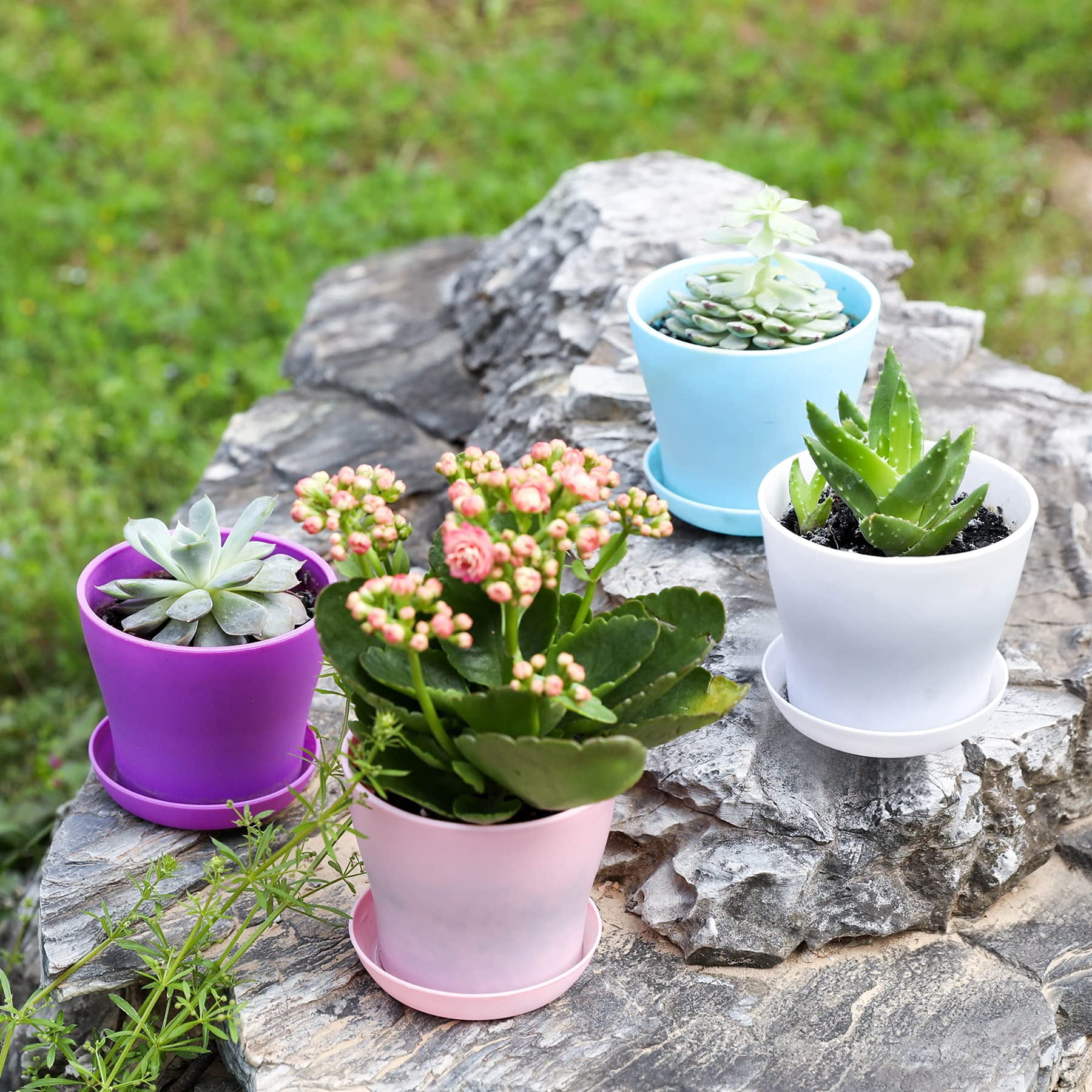10 Pcs Modern Indoor Plastic Flower Pots with Pallets, Mini Decorative Planters for Seedlings, Herbs, Succulents & Indoor Gardening Supplies