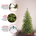 thumbnail image 2 of National Tree 4 Foot Kingswood Fir Pencil Tree (KW7-500-40), Green, 2 of 6