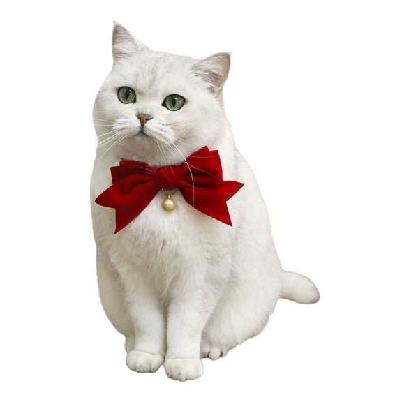 rygai Pet Collar Adorable Exquisite with Bell Pet Kitten Cat Velvet Bowknot Neck Strap Pet Supplies,Red