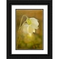 thumbnail image 1 of Murdock, Ramona 13x18 Black Ornate Wood Framed with Double Matting Museum Art Print Titled - Wind Flowers, 1 of 4