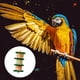 thumbnail image 4 of Columpio para mascotas, pájaro, juguete para masticar, trituradora Gloria loro juguete, 4 of 9