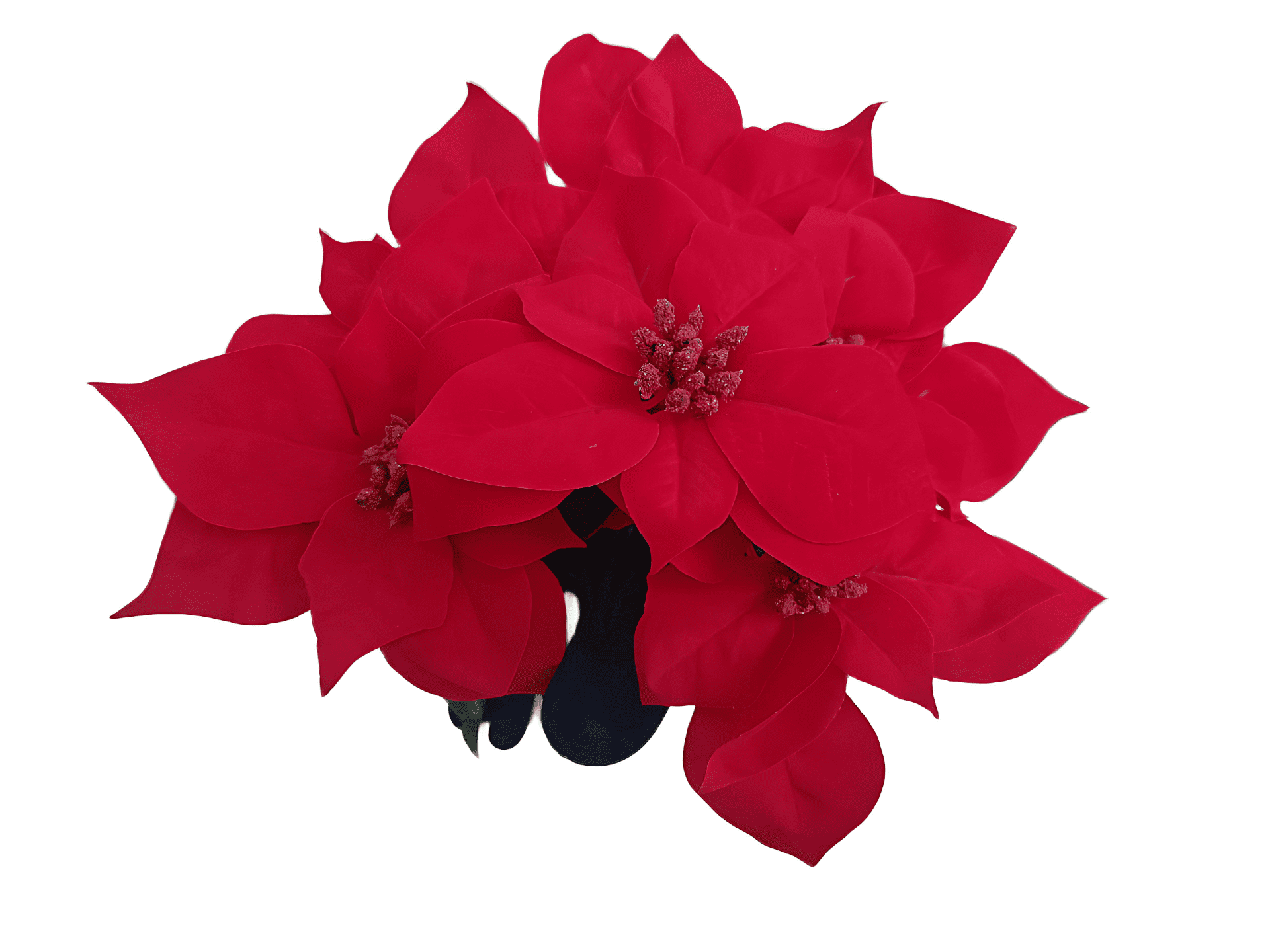 Holiday Time 17" Red Velvet Artificial Christmas Poinsettia Plant in Green Foil Wrapped Pot