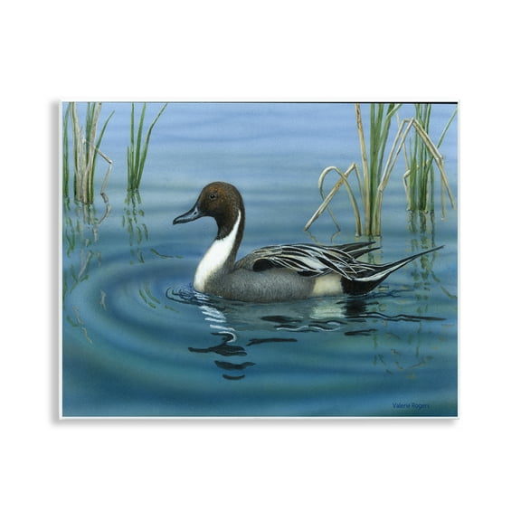 Stupell Industries Pintail Loon in Pond Animals Painting Unframed Art Print Wall Art, 14 x 11