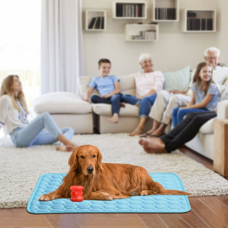 Pet ice pad dog kennel Pet ice pad dog kennel