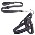 thumbnail image 3 of Stylish and Comfortable Dog Harness and Leash Set - Perfect for Everyday Walks!, 3 of 5